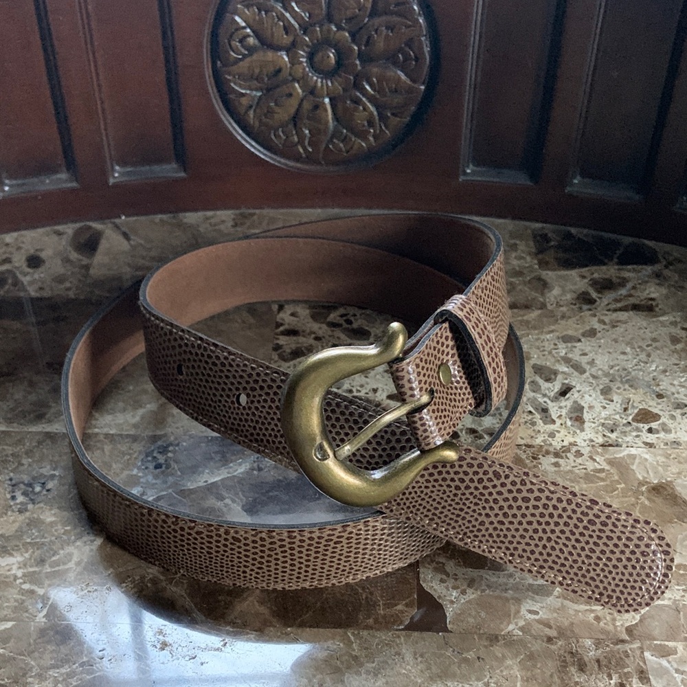 Belt with Brass Buckle size 12